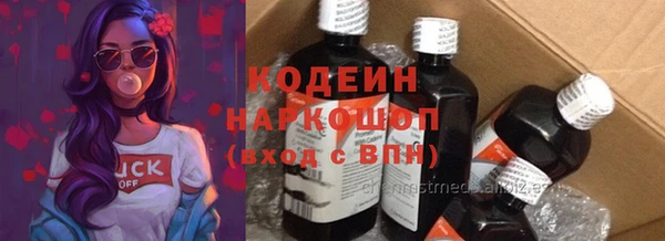 шишки Няндома