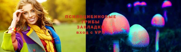 дживик Строитель