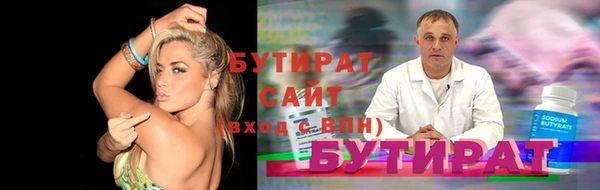 шишки Няндома