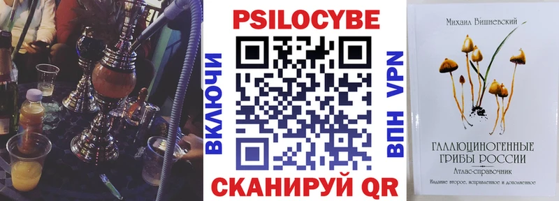 где продают наркотики  Слюдянка  omg зеркало  Галлюциногенные грибы Psilocybe 